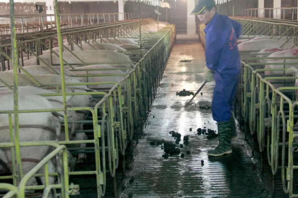 Skid-Mounted Fixed Units