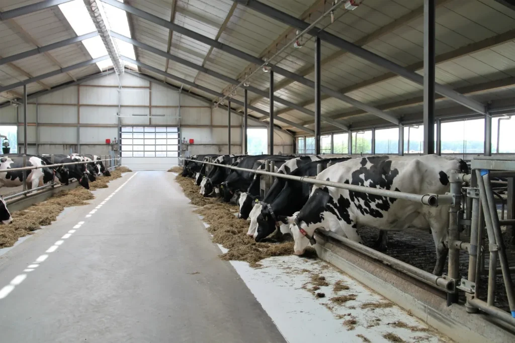 Why Choose Riggers Pumps for farm cleaning high-pressure washer